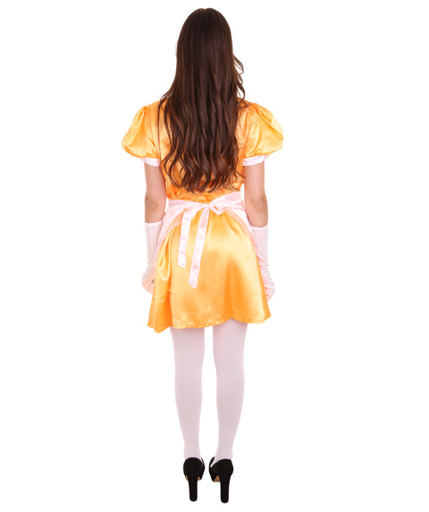 French Apron Maid Uniform Costume