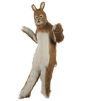 Rabbit Costume with Mask