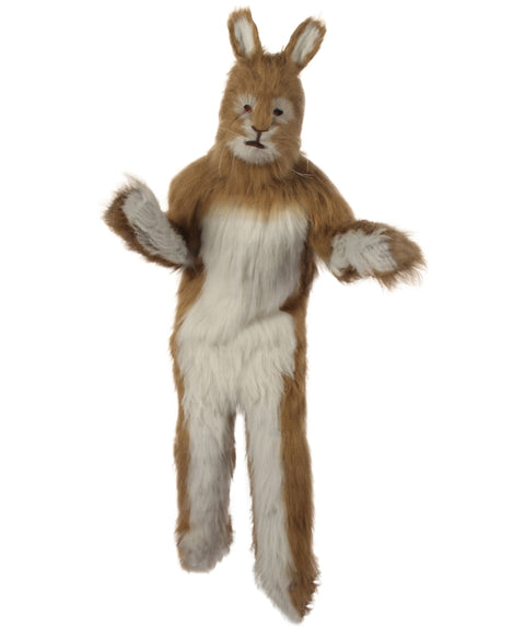 Rabbit Costume with Mask