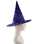 Purple & Black Spider Web Witch Hat