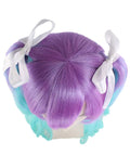 Double Ponytail Wig