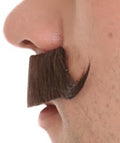 Hedgehog Curly Mustache