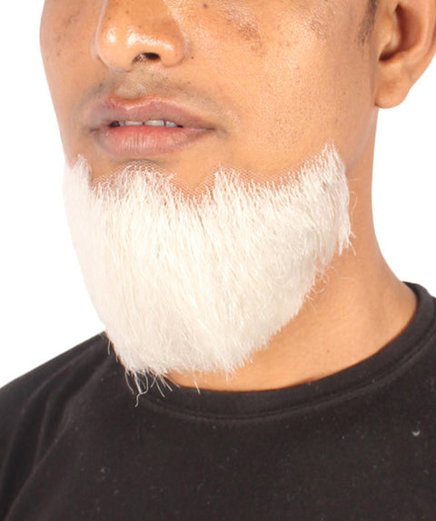 Men's Hollywoodian Beard